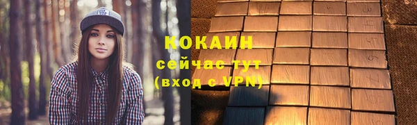 PSILOCYBIN Аркадак