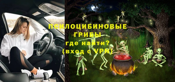 стафф Арсеньев