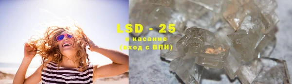 PSILOCYBIN Аркадак