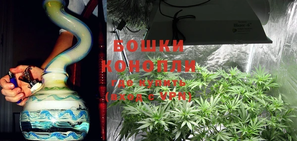 PSILOCYBIN Аркадак