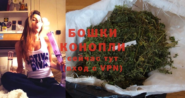 PSILOCYBIN Аркадак