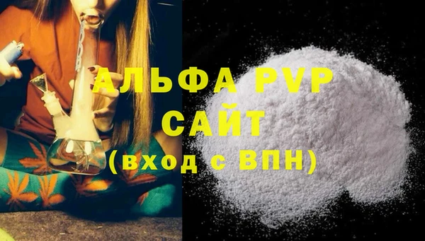 стафф Арсеньев