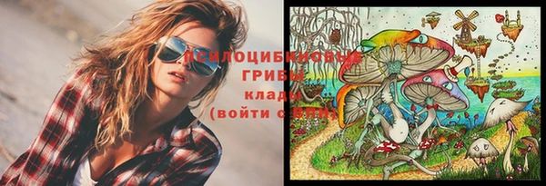 PSILOCYBIN Аркадак