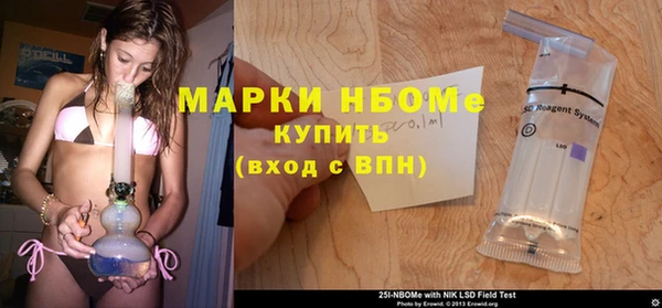 PSILOCYBIN Аркадак